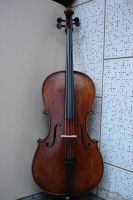 6500a cello 1.JPG